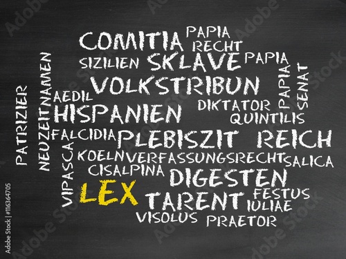 Obraz na plátně Lex