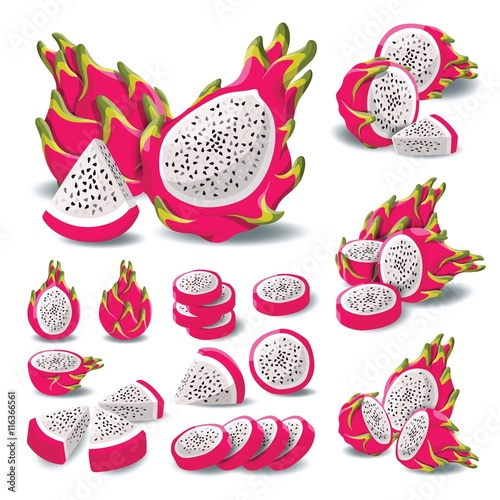 Dragon Fruit Isolated Vector
