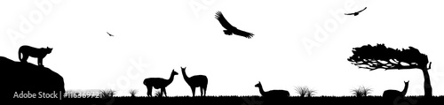 Patagonia - Patagonien  - Landschaft - Tierwelt