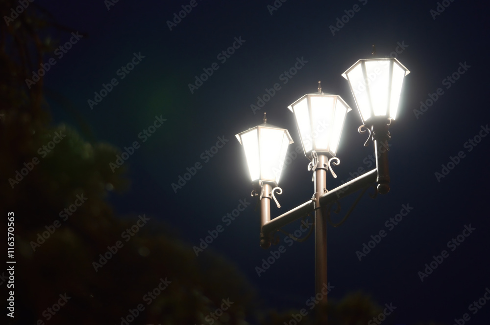 Nights lights of three lamps in the park Nights lights of three lamps in the park