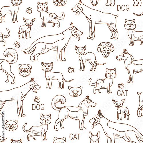 Vector pets pattern. Doodle dog and cat background