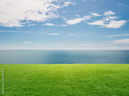 green grass with blue sea and blue sky background