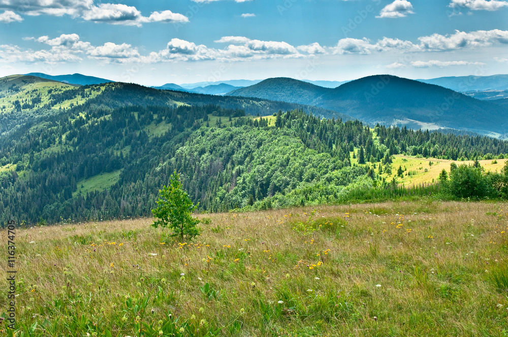 Beautiful mountains landscape