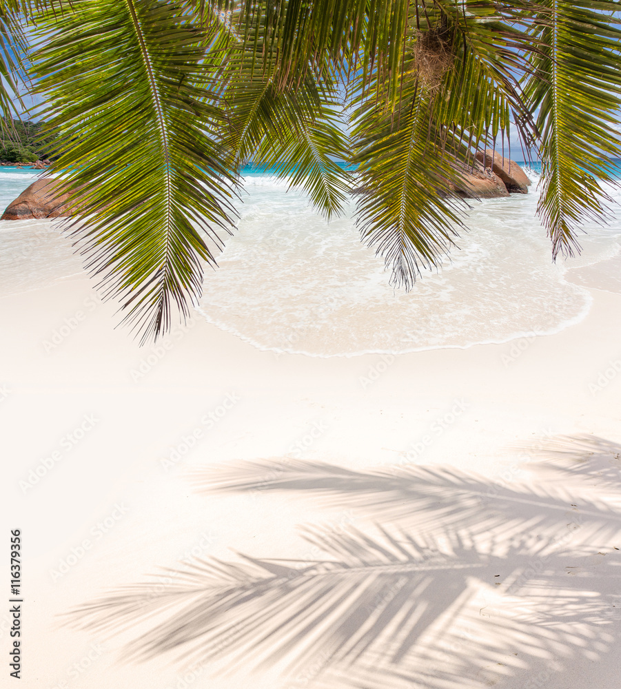 Fototapeta premium palmes de cocotier sur plage d'anse Lazio, Praslin, Seychelles
