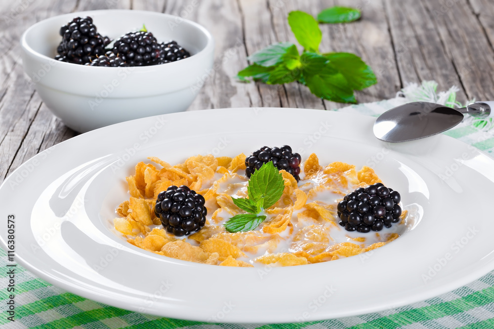 corn flakes with milk and blackberry in white dish corn flakes with milk and blackberry in white dish