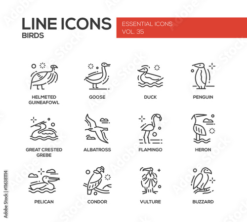 Birds - line design icons set