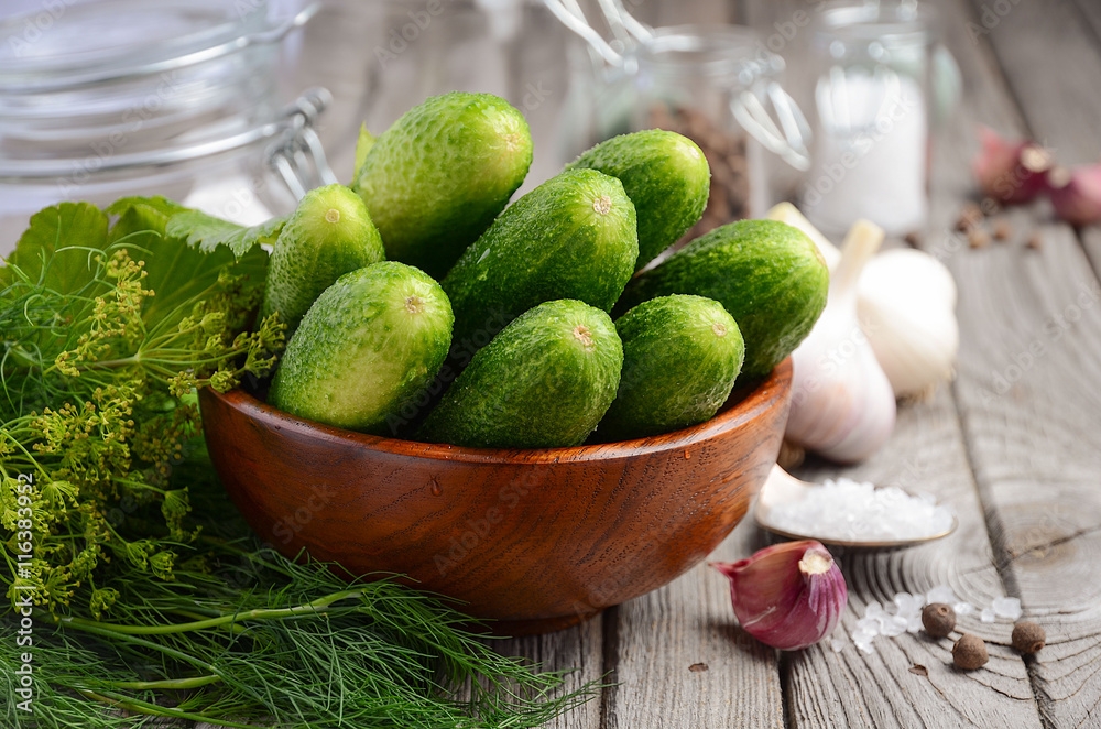 Fresh cucumbers ready for canning with dill, garlic and spices, selective focus Fresh cucumbers ready for canning with dill, garlic and spices, selective focus