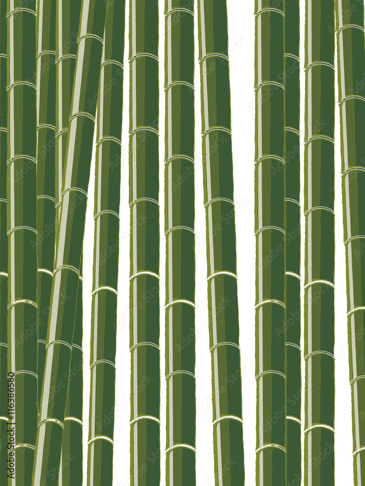 Fototapeta premium Bamboo background