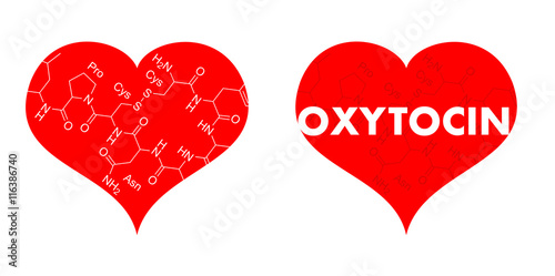 Red heart with chemical formula of oxytocin - falling in love, love and sexuality as product of chemistry. Correlation between lust, attraction, attachment and hormones and brain photo