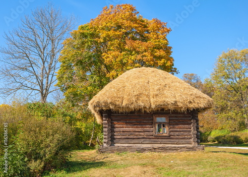 The old log house under a thatched roof standing in the autumn forest