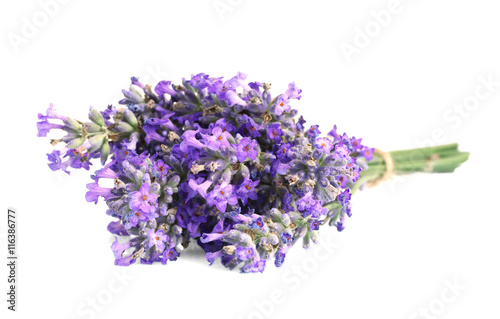 Tied bunch of lavender flowers on white background