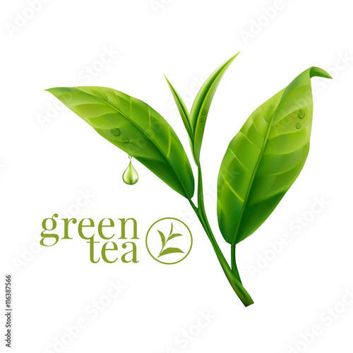 Green tea leaf