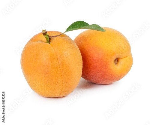 Two fresh apricots isolated on white background