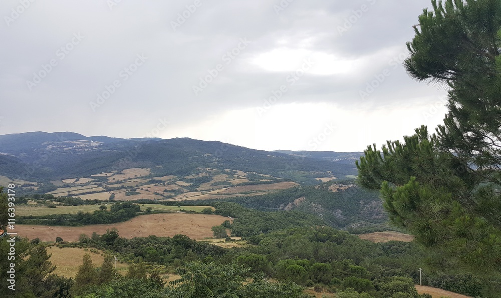 Fototapeta premium Toskania