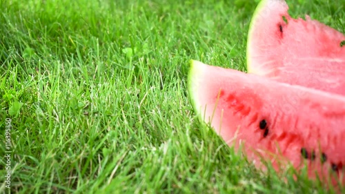 sliced watermelon on grass