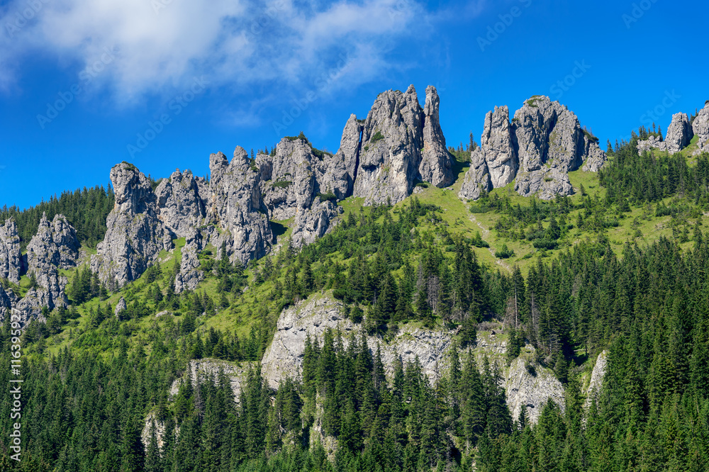Naklejka premium View of Tatra mountains from Chocholowska valley in the summer.