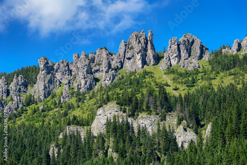 View of Tatra mountains from Chocholowska valley in the summer.