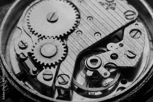 Gears and mainspring in the mechanism of watch.