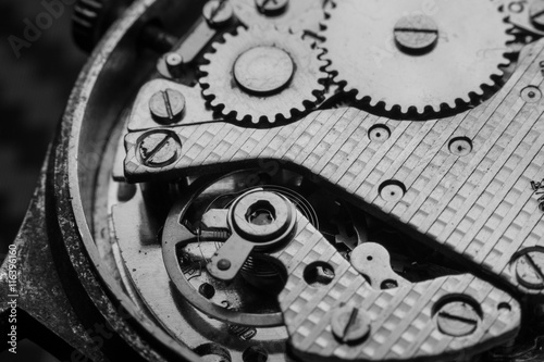 Gears and mainspring in the mechanism of watch.