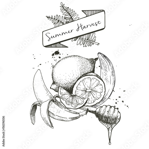 Vector set of summer harvest. Decorated with banner, fern leaves and blots. Lemon, lime, banana and honey spoon.
