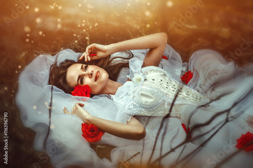 Принти на полотні lies sleeping beauty