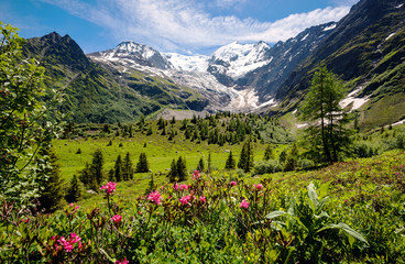 Keuken achterwand Alpen Amazing panorama of French Apls, part of famous trekk - Tour du Mont Blanc  © kojin_nikon