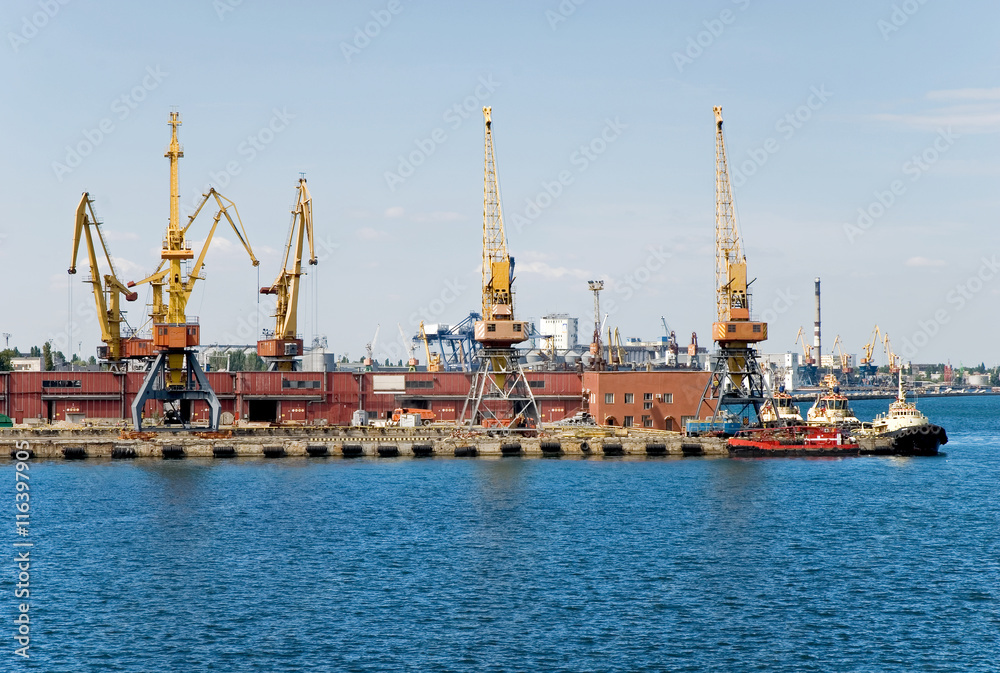 Sea port with loading cranes