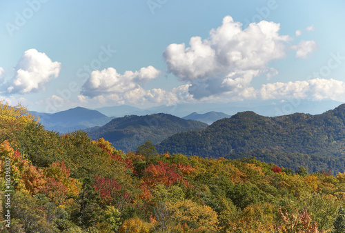 View over Blue Ridge Mountains in indian summer with red  green and yellow colored treetops  North Carolina  U.S.A.