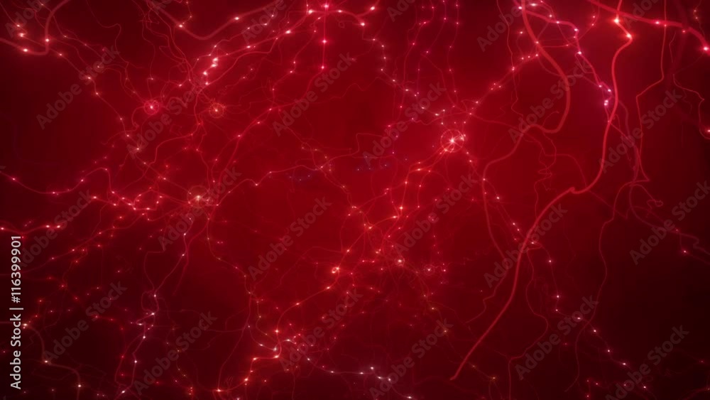 Neuron_Image_BG_RG Neuron_Image_BG_RG