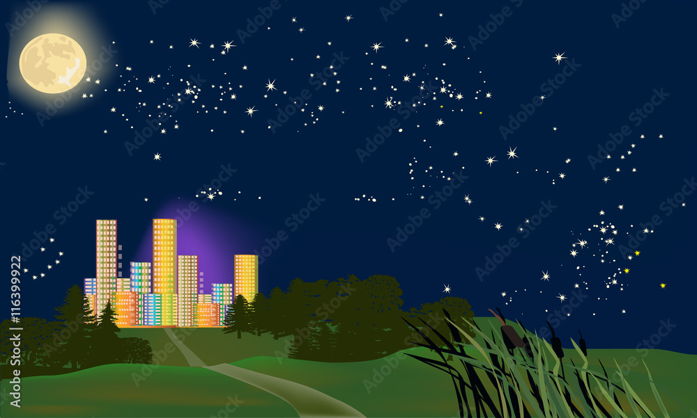 Fototapeta premium rainbow color city under full moon and stars