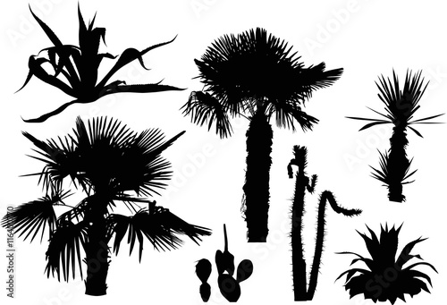 set of palm trees and cactus silhouettes isolated on white
