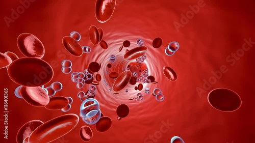 Animation of Oxygen molecules floating in the blood stream with Erythrocytes.	


