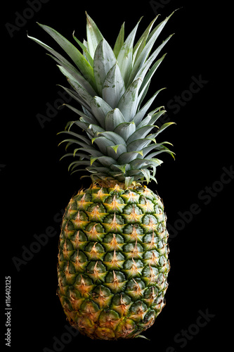 Whole pineapple isolated standing on black.