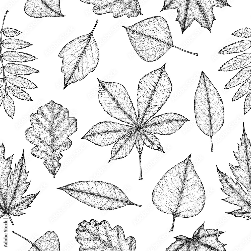 Seamless pattern of autumn leaves. Botanical illustration. 