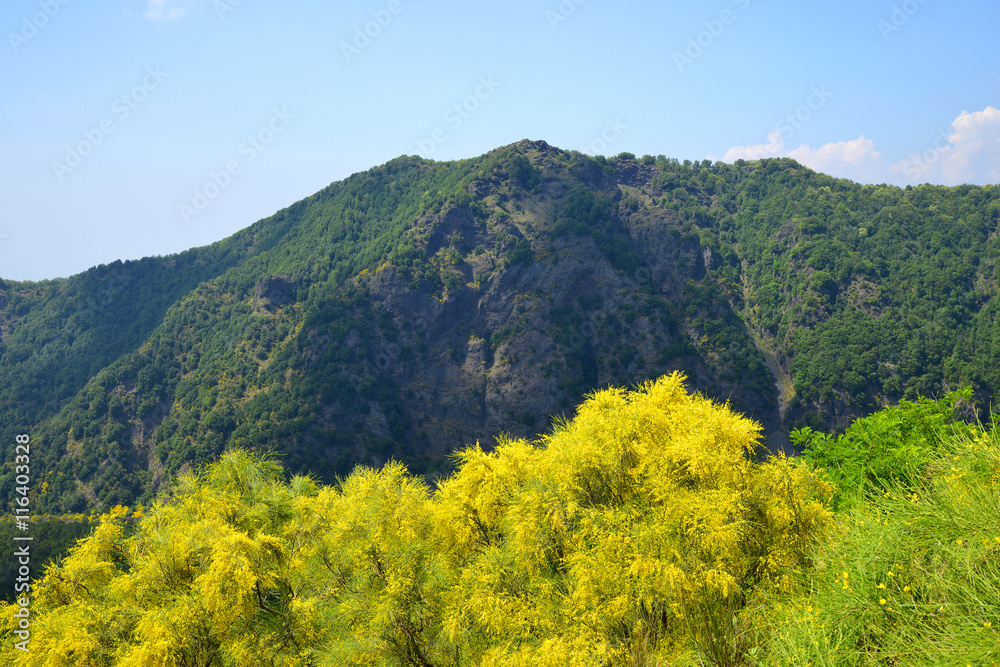 Mount Somma is the remnant of a large volcano, out of which the peak cone of Mount Vesuvius has grown. Province of Naples, in the Campania region, Italy.