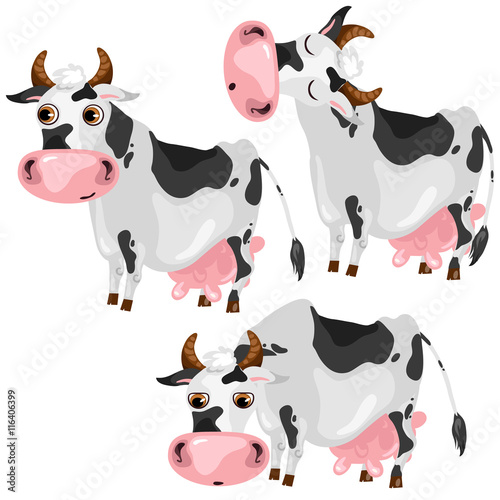 White spotted cow in three poses, vector animals