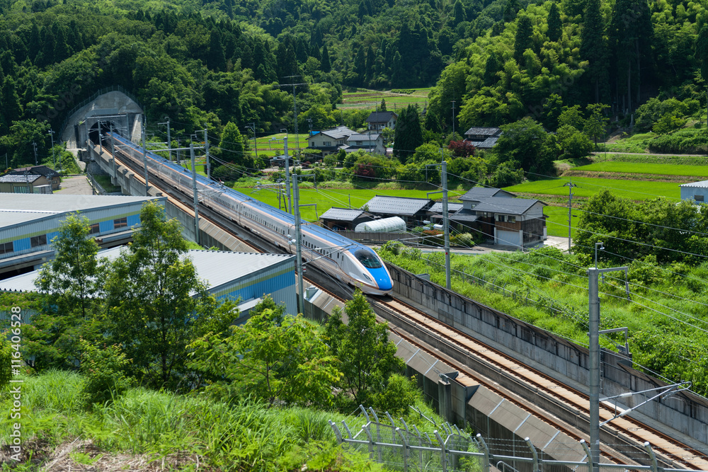 Naklejka premium 新幹線の見える丘公園からの眺め