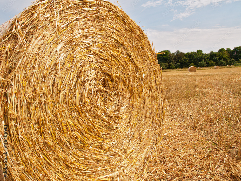 hay bale partially wrapped in plastic net hay bale partially wrapped in plastic net
