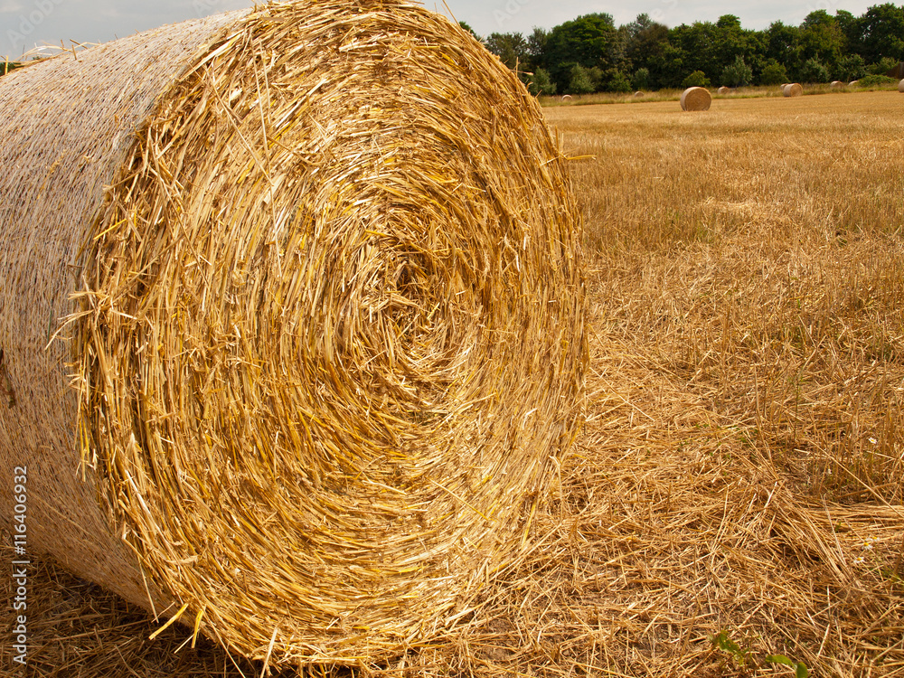 hay bales partially wrapped in plastic net