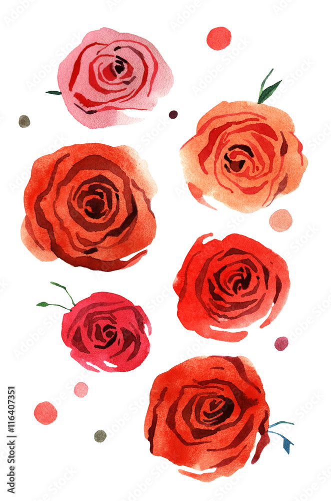 watercolor rose flower watercolor rose flower