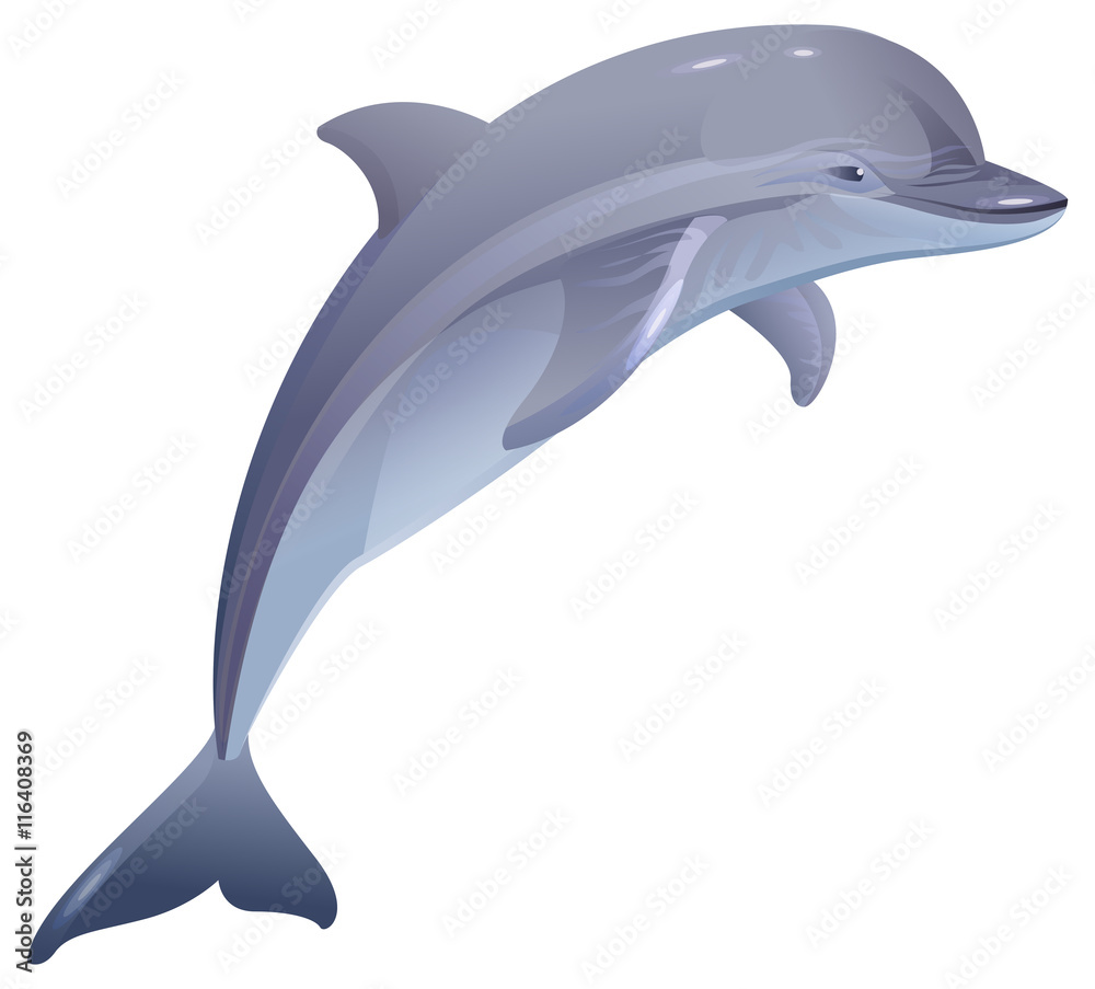 Naklejka premium Delfin ssaków morskich
