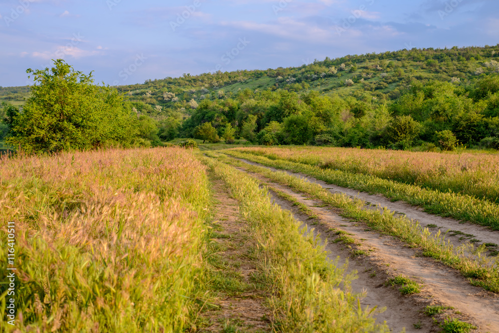 Farm tracks leading through a wheat field