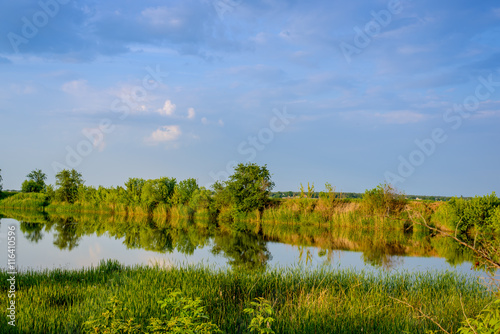 Tranquil rural lake in evening light