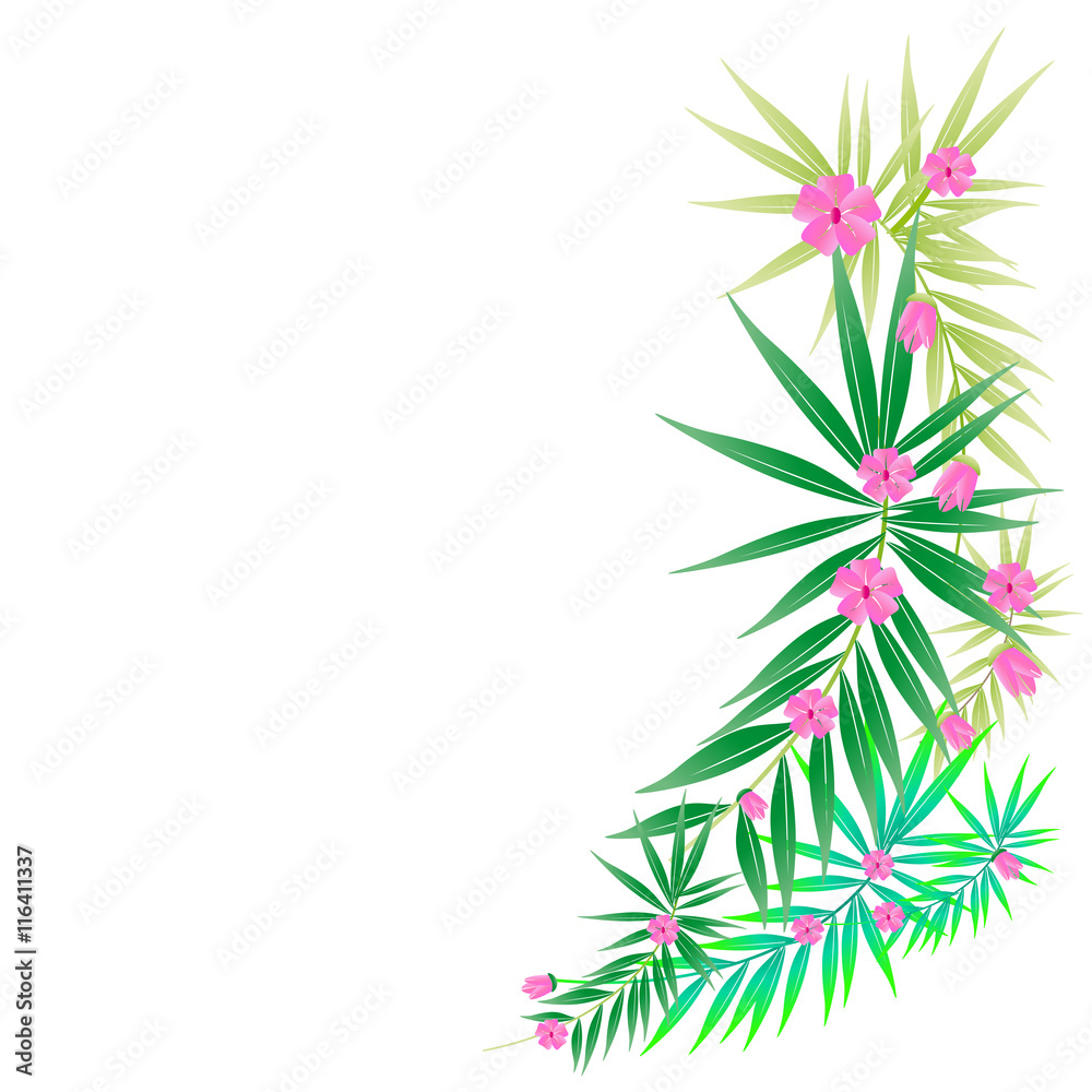 flowers flowers
