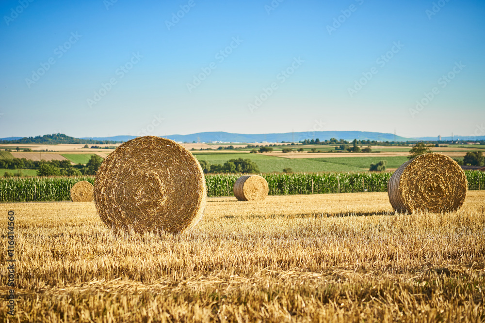 straw bales on a field / summer harvesting in germany straw bales on a field / summer harvesting in germany