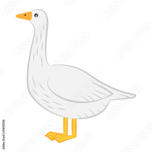 Goose colored illustration