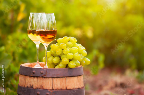 White wine glass, young vine and bunch of grapes against vineya
