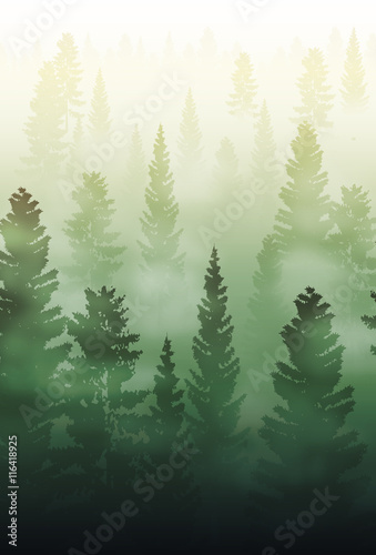 misty forest landscape, foggy forest landscape © lotnom