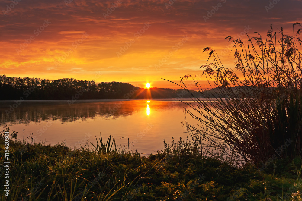 Obraz premium Wiosenny wschód słońca nad stawem