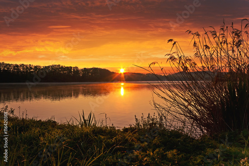 Spring Sunrise on the pond